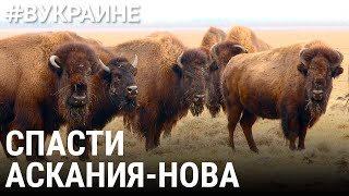 Спасти Аскания-Нова | #ВУКРАИНЕ