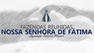 Lote 20 Espn Monarquia Espn 2918 Espn Lardana Espn 2768 Copy