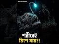 Did You Know? স্ত্রী মাছেদের শরীরে পরজীবী স্বামী! — সমুদ্রের আজব প্রেম! 🐟🤯