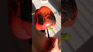 Запеченный болгарский перец  / Baked bell pepper