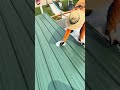 Cutting out a chimney pipe