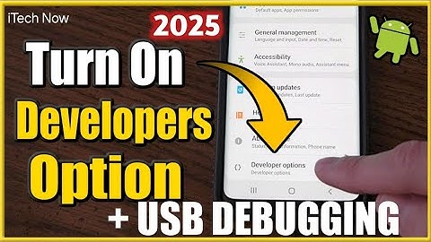 How To Turn On DEVELOPER OPTION + USB DEBUGGING From Any Android | 2025  iTech Now