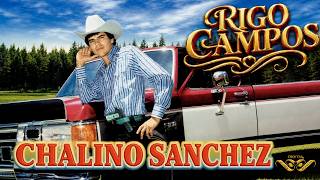 RIGO CAMPOS - CHALINO SÁNCHEZ | LYRIC VIDEO OFICIAL NORTEÑO