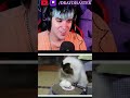 Convierte a tu Gato en DJ 😄😂 #divertido #gatos #animales #curiosidades