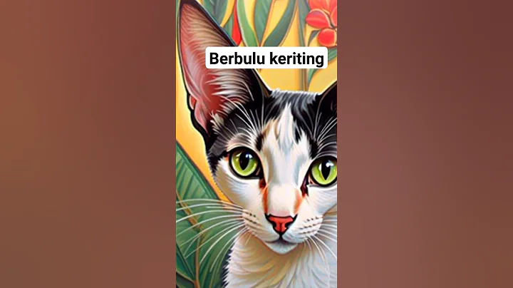 Watch the video about Kucing cornish rex #cute #meong #cat