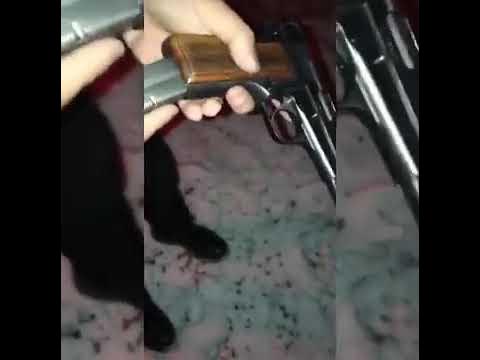 Katta dumbalarning HD video Katta dumbalarning HD video