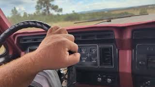 Auction #4066884 - 1981 F150 4 x 4 Custom