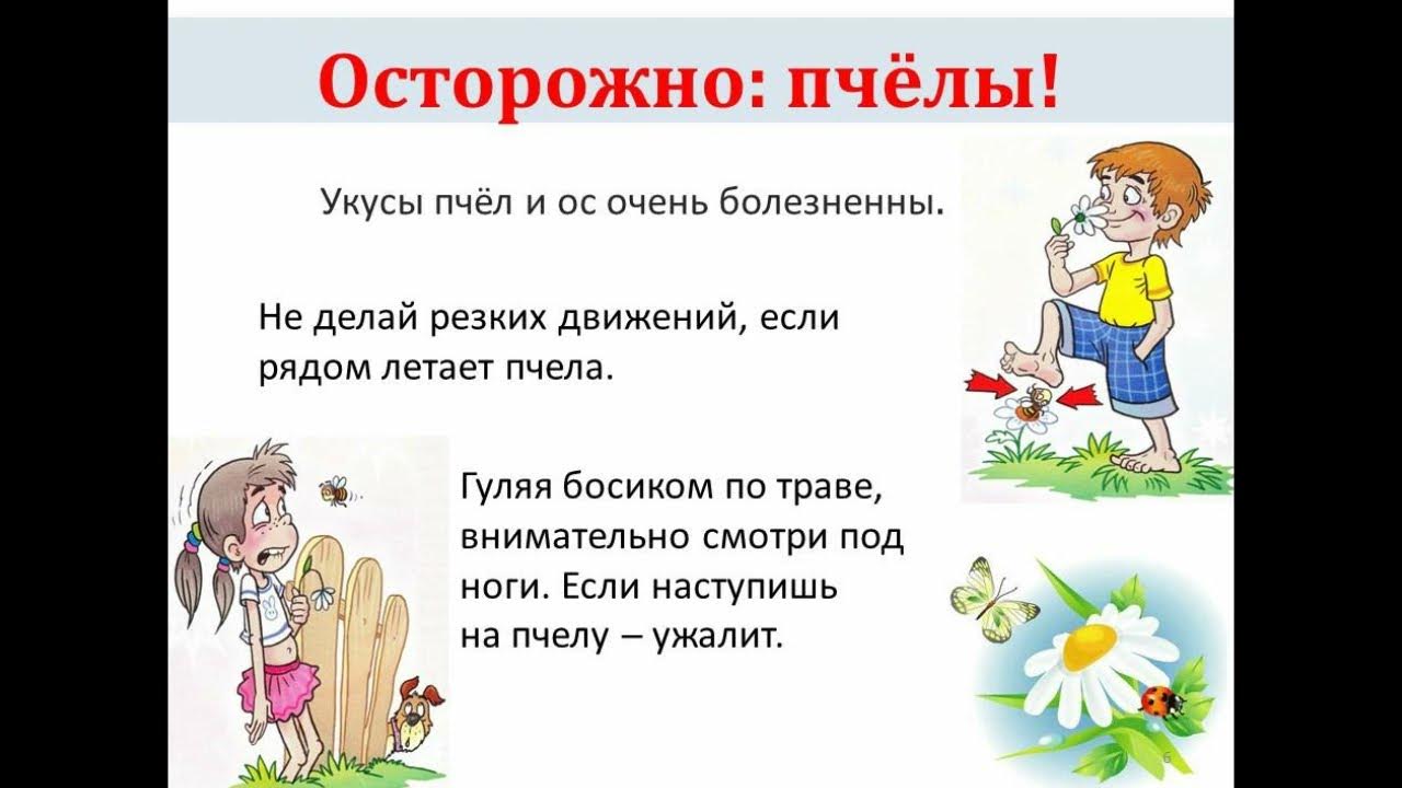 Безопасность летом для детей презентация
