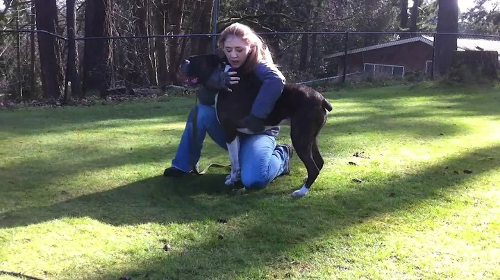 Dog Trainer Saves Dog with CPR Jukin Media Verifie...