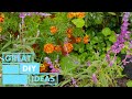 Mothers day backyard makeover  diy  great home ideas