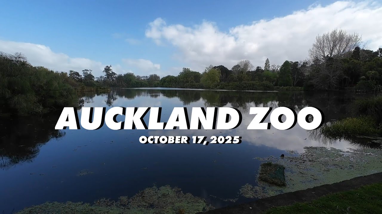 🦖 Live from Auckland Zoo with Dinosaur Discovery Track | October 2025