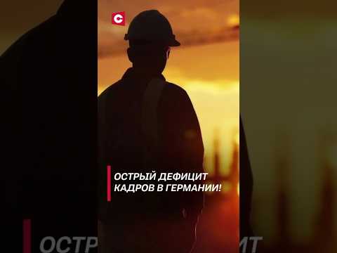 Германия хочет увеличить приток мигрантов! #германия #новости #политика #мигранты #фрг #работа