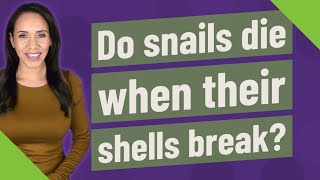 Do snails die when their shells break