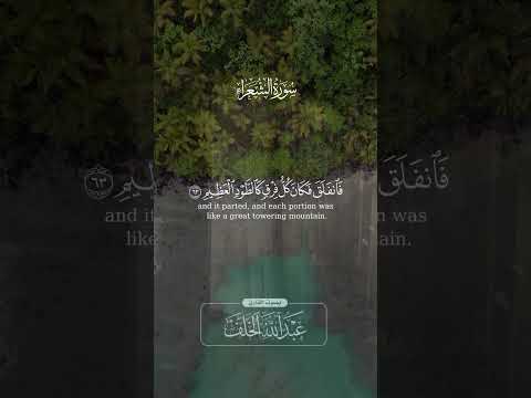 فلما تراءى الجمعان قال أصحاب موسى إن ا لمدركون