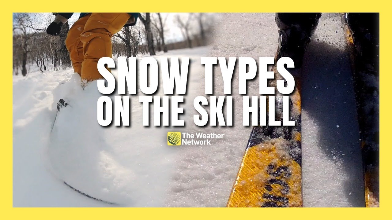 Master the Slopes: How to Ski in Any Condition