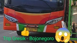 Trip Bojonegoro - Gresik dengan bus rajawali indah#shortvideo #shorts #trending #bus