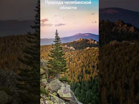 Video: Čeļabinskas apgabala rezervāts 