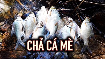 CHẢ CÁ MÈ BÊN HỒ DẦU TIẾNG | HỒ DẦU TIẾNG 24H CÂU CÁ, NẤU NƯỚNG, CẮM TRẠI | MUỐI TÔM BỤI