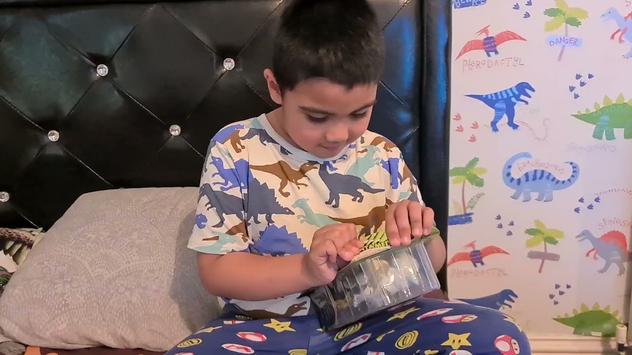 Untamed Dire Wolf by Fingerlings Toy  Review