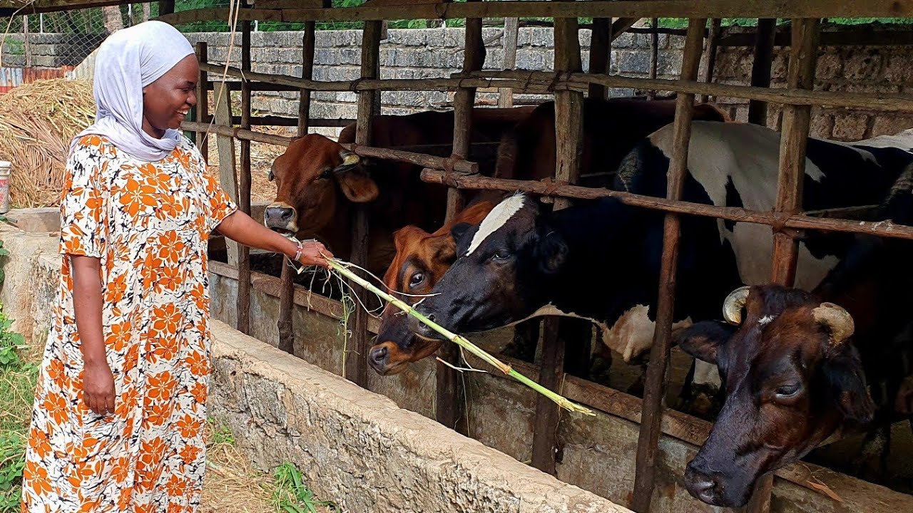 From China To Kenya Countryside | I'm Finally Home