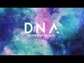 Acoustic english cover bts  dna  elise silv3rt3ar