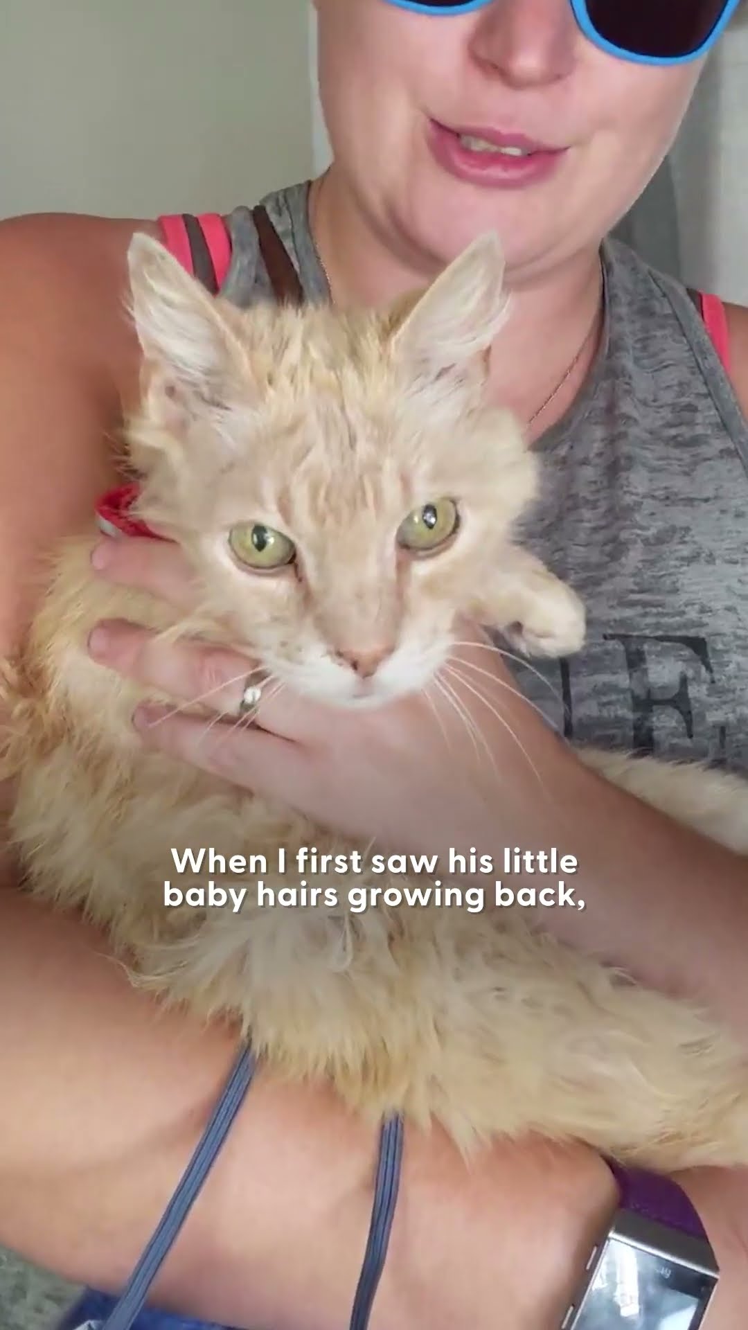Cat Abandoned in 100-Degree Weather Melts In His Rescuer’s Arms | The Dodo