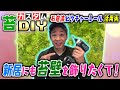 #181【苔カスタムDIY】引っ越した新居にも苔壁を飾りたくて！