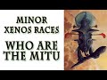 Warhammer 40k Lore - The Mitu Conglomerate (Minor Xenos)