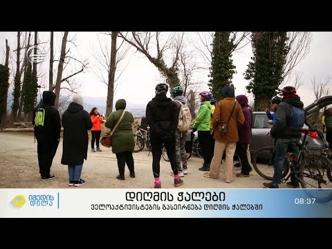 დიღმის ჭალები | ველოაქტივისტების გასეირნება დიღმის ჭალებში