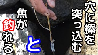 ＃１　うなぎ釣りに挑戦！