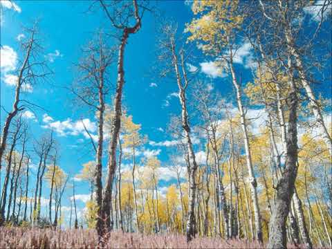 大きい木・ソプラノ（MIDI）