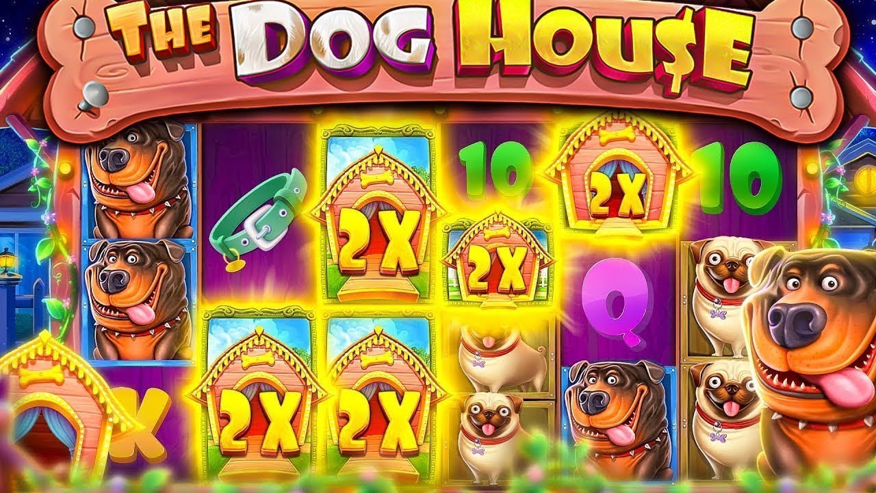 ИДУ В ALL IN! РИСКОВАННАЯ ИГРА В THE DOG HOUSE MEGAWAYS! ДОРОГИЕ БОНУСЫ