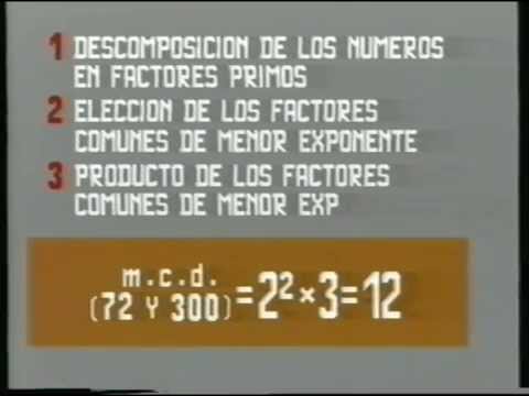 Matemáticas 25. DIVISIBILIDAD II:  Máximo Común Divisor,  Mínimo Común Múltiplo.