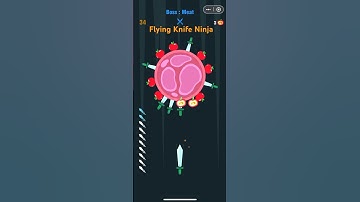 Flying Knife Ninja #playables #minigames #tiktok #puzzle