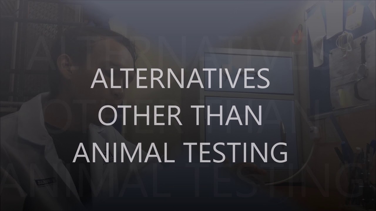 CRITICAL THINKING - COSMETIC TESTING ON ANIMALS