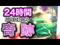 奇跡⭐️見た時から24時間以内に起こるいいこと✨ 高次元メッセージ⚜️見た時がタイミング✨カード3択🎇奇跡起こせます✨