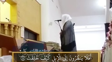 سورة الغاشية بالبنجكاه للشيخ #ياسر_الدوسري من صلاة الجمعة ٢٢-٧-١٤٣٧ھ