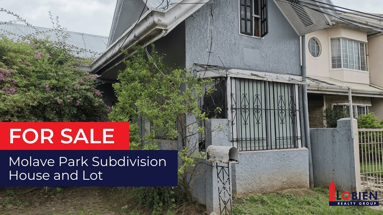 FOR SALE House and Lot in Molave Park Subdivision, Merville, Parañaque