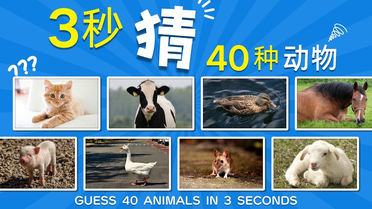 3秒内猜40种动物|认识动物|Guess 40 Animals in 3 Seconds|Video for kids - YouTube