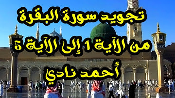 تعلم التجويد برواية حفص بقصر المنفصل|سورة البقرة 1-5|tajwid sourah al-baquarah