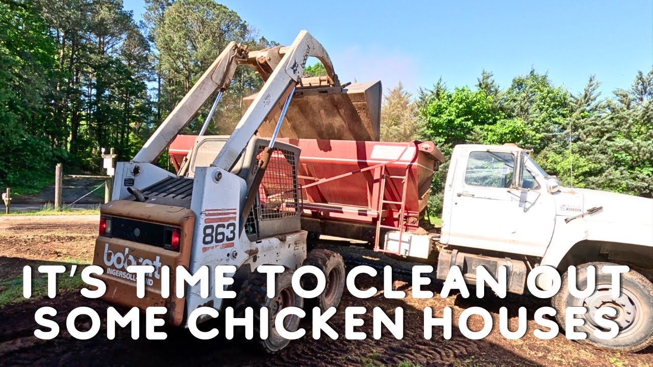 It's Time To Clean Out Some Chicken Houses!!
