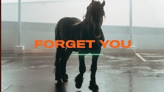 FAST BOY X Topic - Forget You