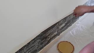 Application of Jotun Penitrating Primer or Sealer screenshot 1