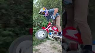 Z50 vs TTR50 vs CRF50