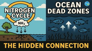 Nitrogen Cycle & Ocean Dead Zones: The Hidden Connection