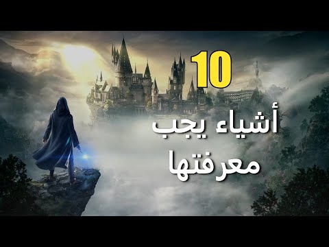 فيديو: 5 طرق لتجديف مع الكلب الخاص بك