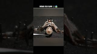 Spider Silk Harvesting 🕷️