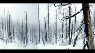Wild's Reprisal - Ethics of Respect for Nature