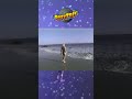 Checking-In on the Beach Ninja #rifftrax