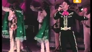 Watch Pedro Fernandez Un Mundo Raro video